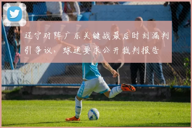 辽宁对阵广东关键战最后时刻漏判引争议，球迷要求公开裁判报告