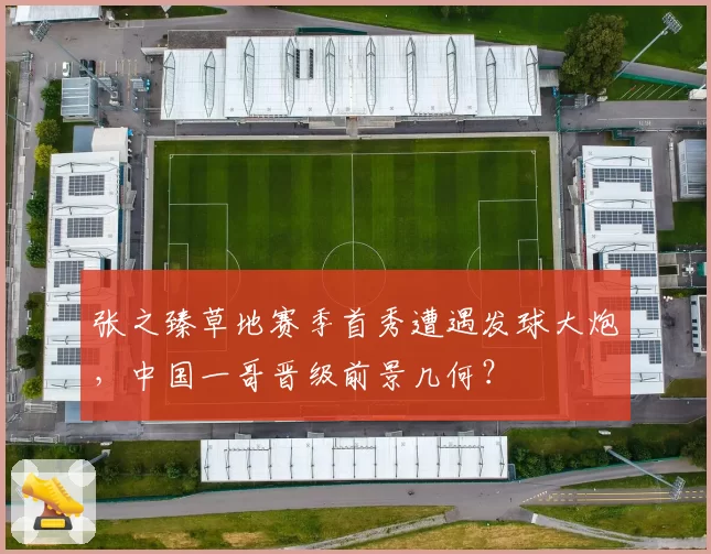 张之臻草地赛季首秀遭遇发球大炮，中国一哥晋级前景几何？