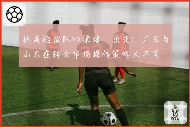 林高远留队vs梁靖崑出走:广东与山东在转会市场操作策略大不同