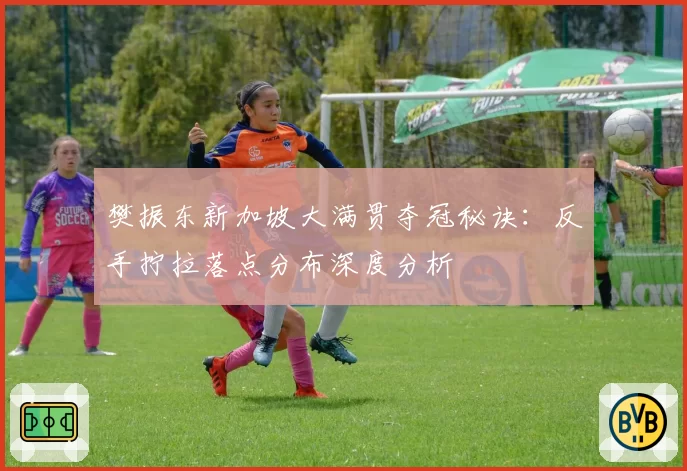 樊振东新加坡大满贯夺冠秘诀:反手拧拉落点分布深度分析